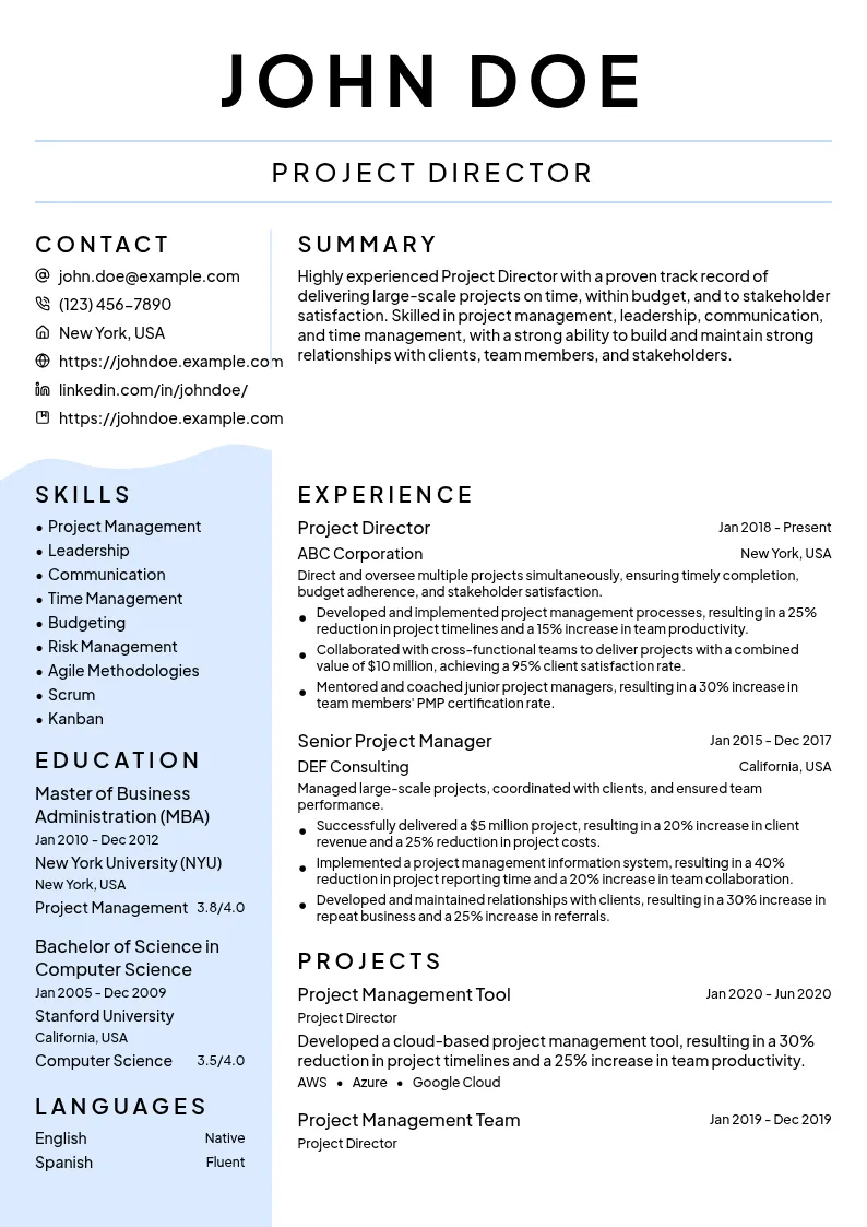 Project Director resume example