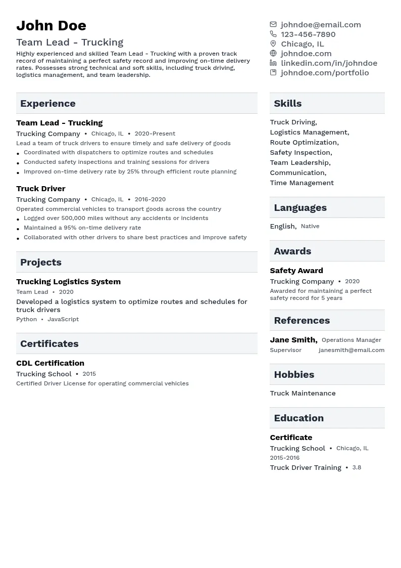 Team Lead - Trucking resume example