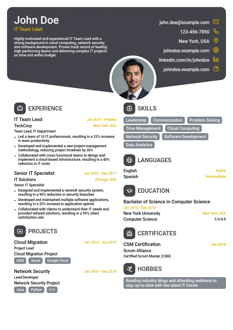 IT Team Lead resume example