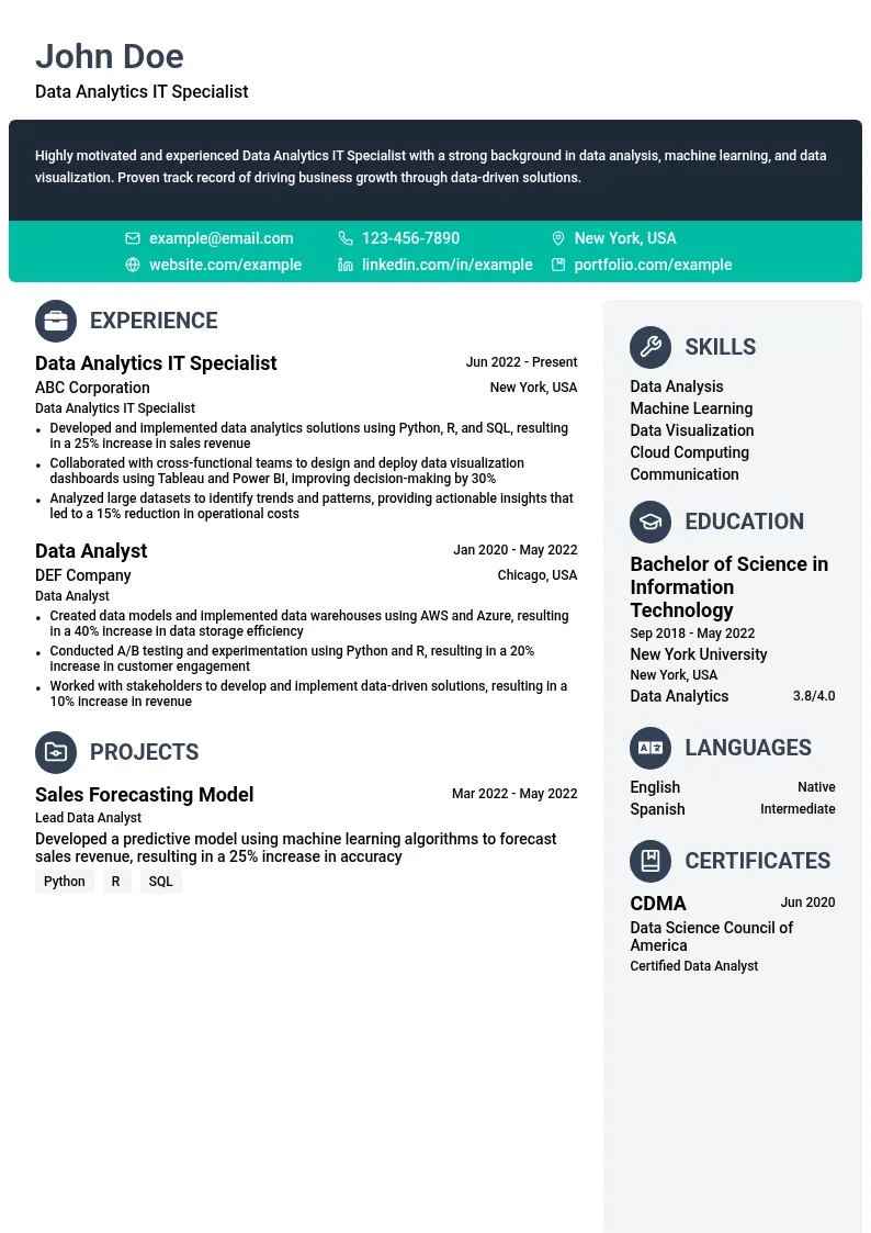 Data Analytics IT Specialist resume example