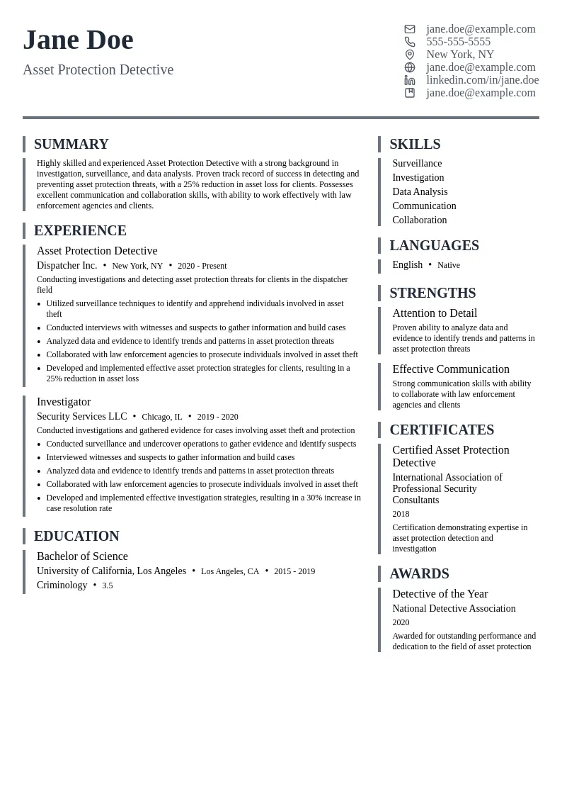 Asset Protection Detective resume example