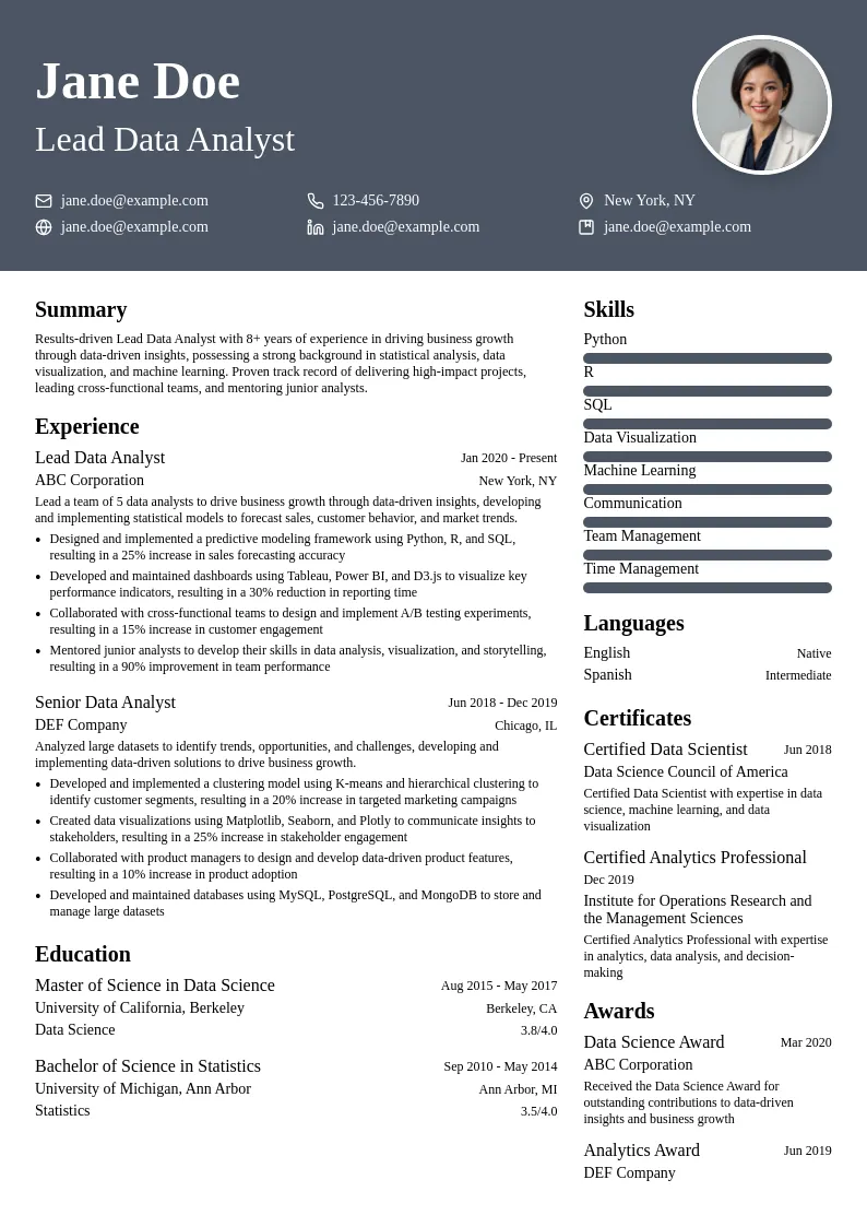 Lead Data Analyst resume example