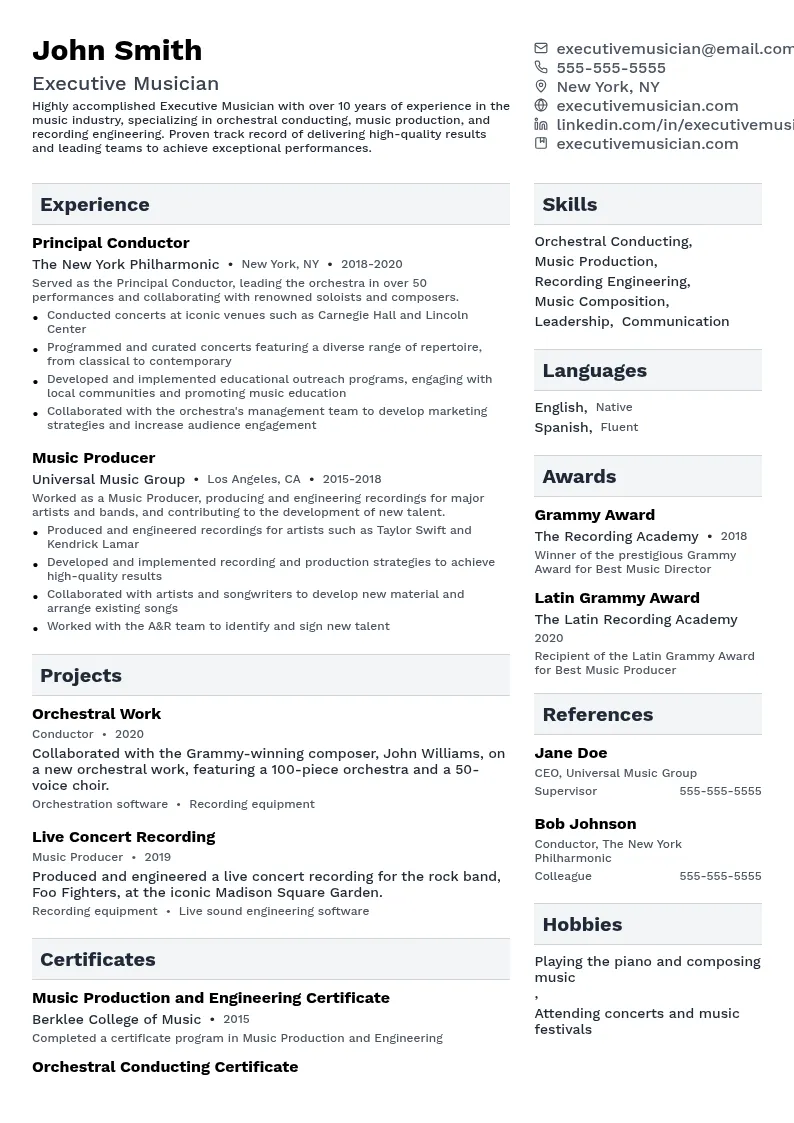 Executive Musician resume example
