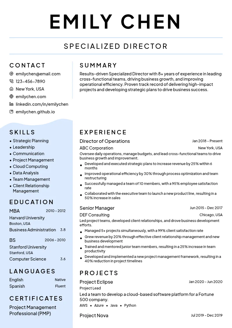 Specialized Director resume example