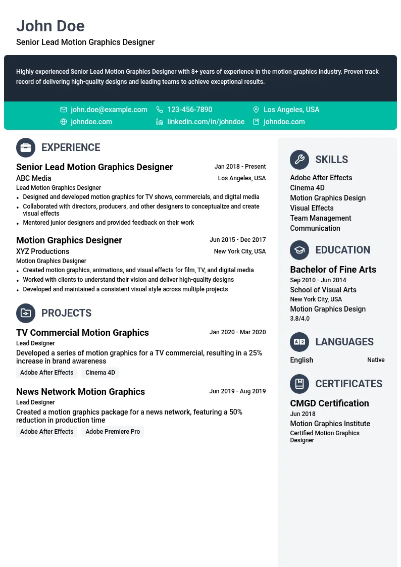 Senior Lead Motion Graphics Designer resume example
