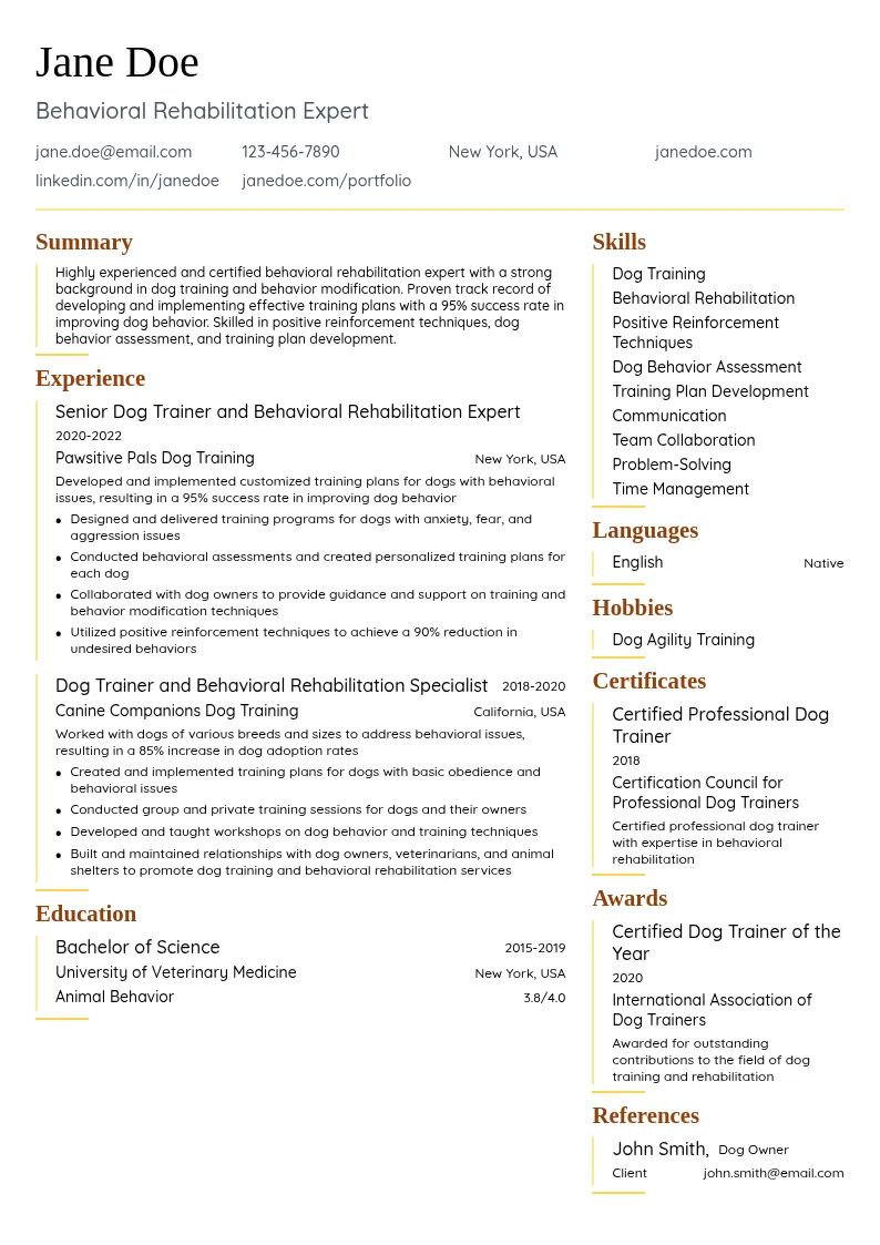 Behavioral Rehabilitation Expert resume example