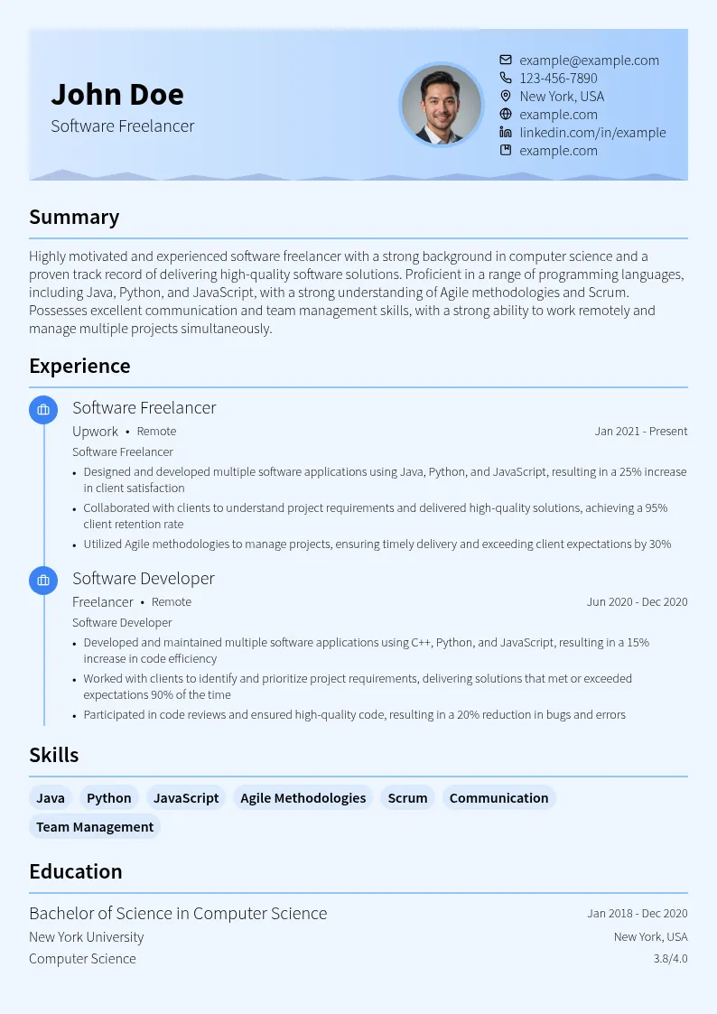 Software Freelancer resume example