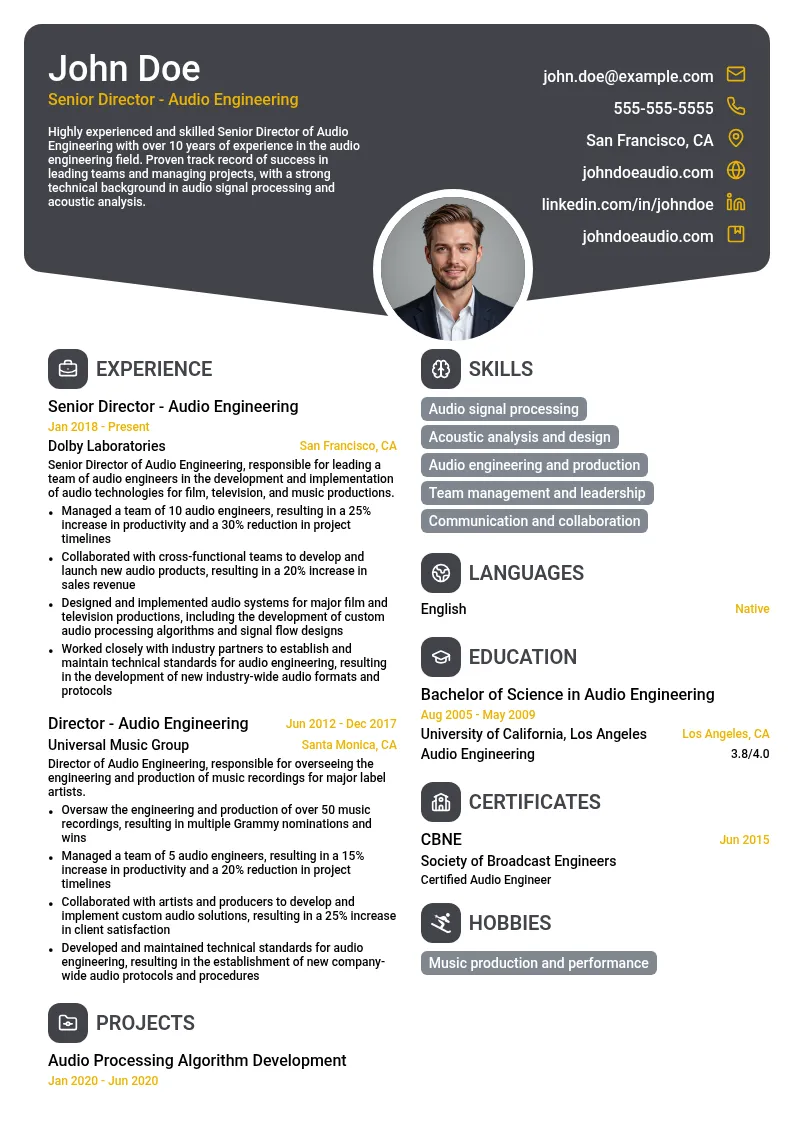 Senior Director - Audio Engineering resume example