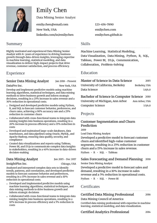Data Mining Senior Analyst resume example