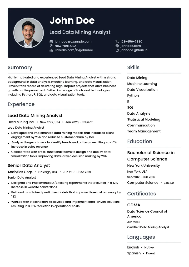 Lead Data Mining Analyst resume example