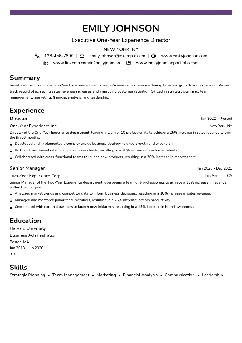 Executive One-Year Experience Director resume example