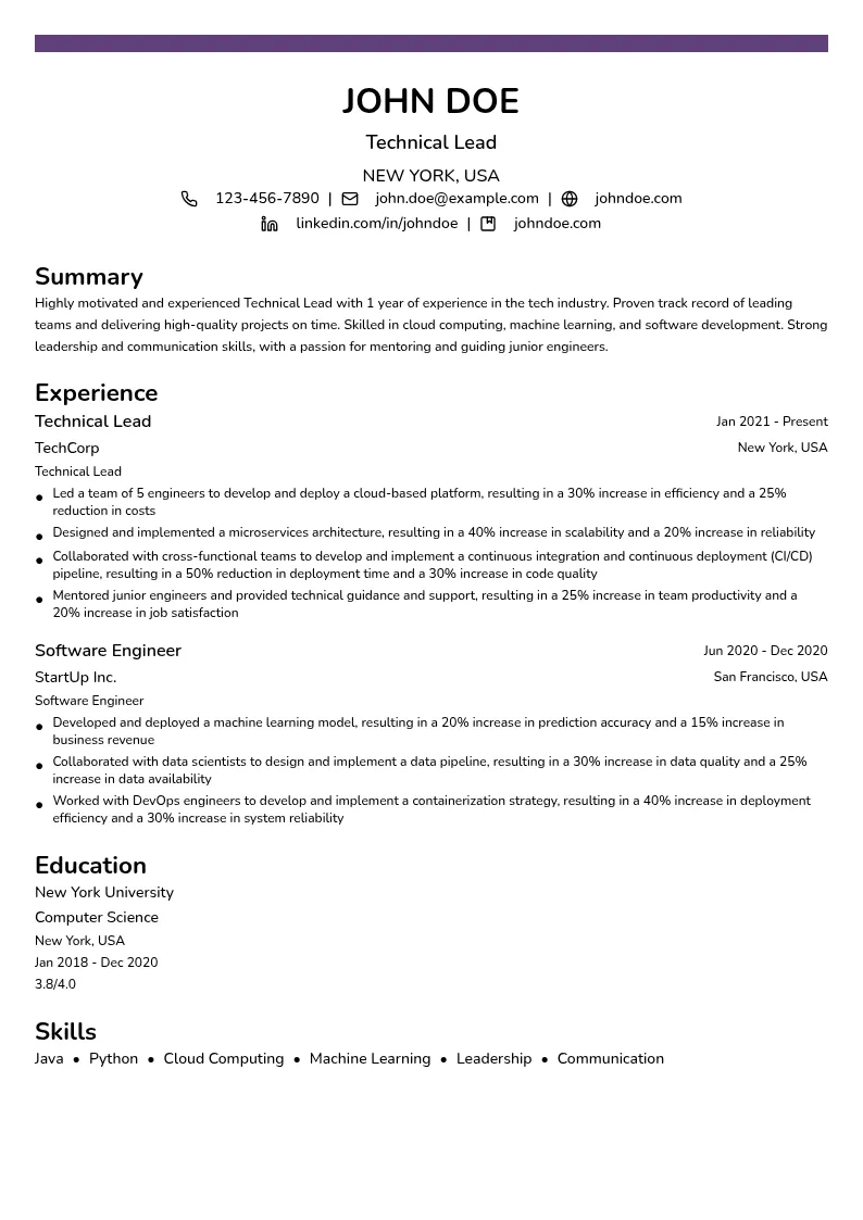 One-Year Experience Technical Lead resume example