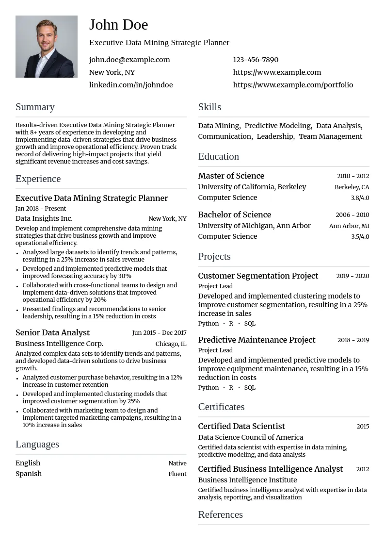 Executive Data Mining Strategic Planner resume example