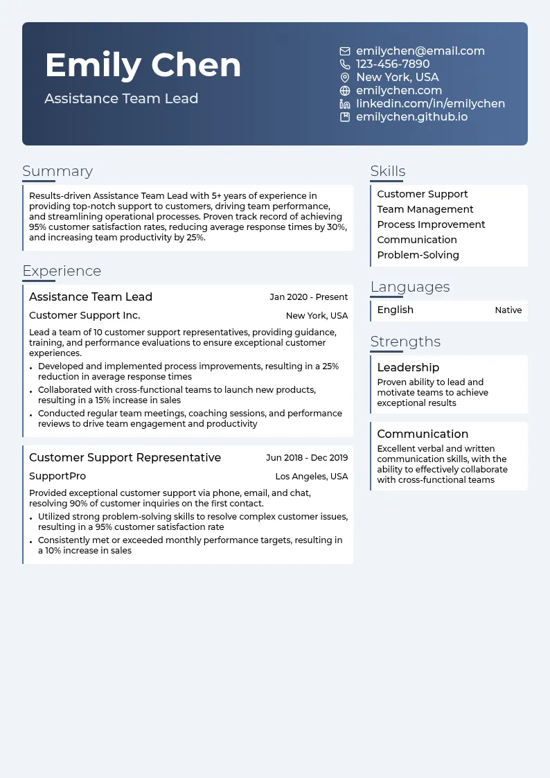 Assistance Team Lead resume example
