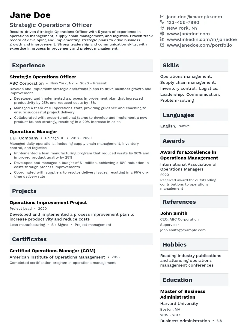 Strategic Operations Officer resume example