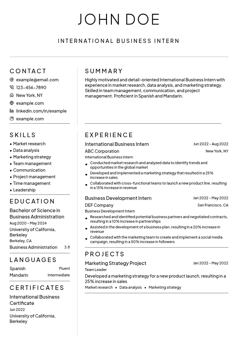 International Business Intern resume example