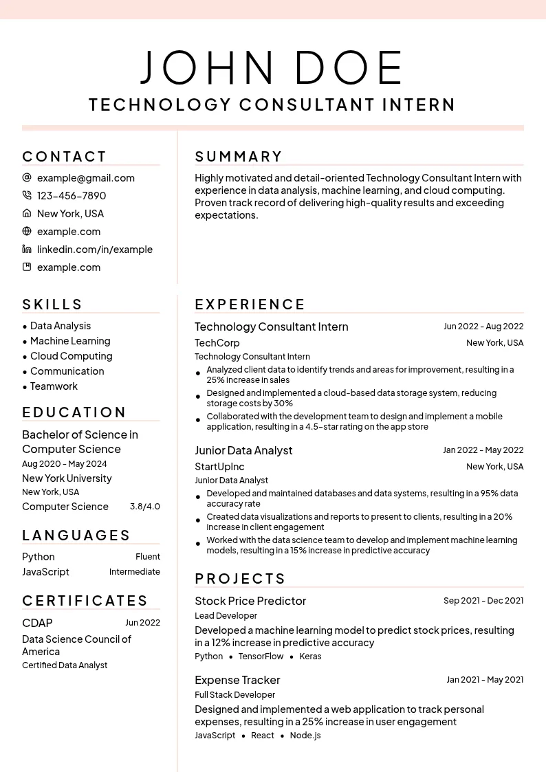 Technology Consultant Intern resume example