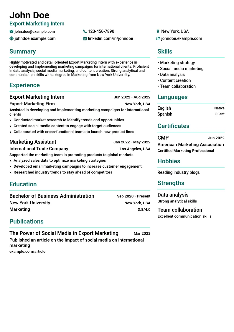 Export Marketing Intern resume example