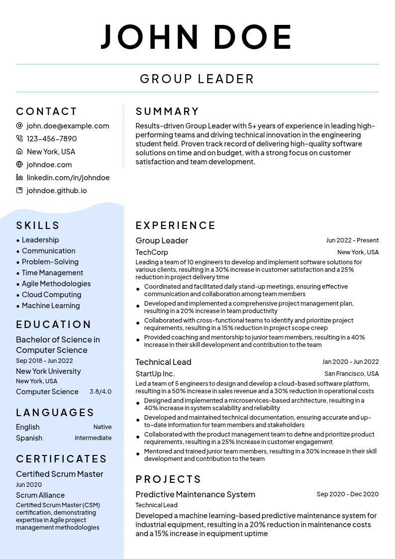 Group Leader resume example