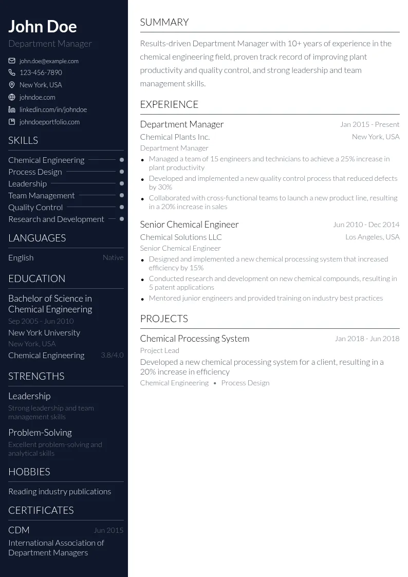 Department Manager resume example