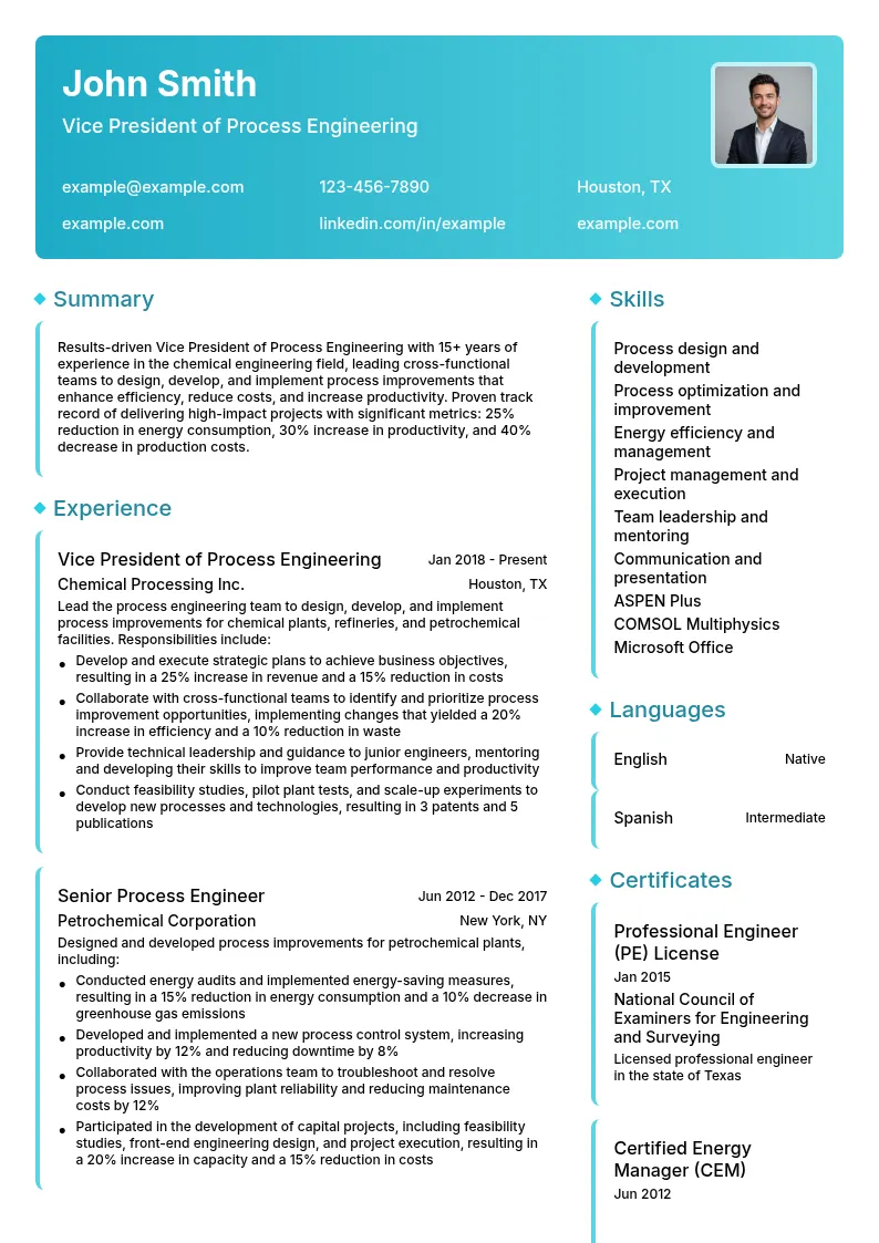 Vice President of Process Engineering resume example