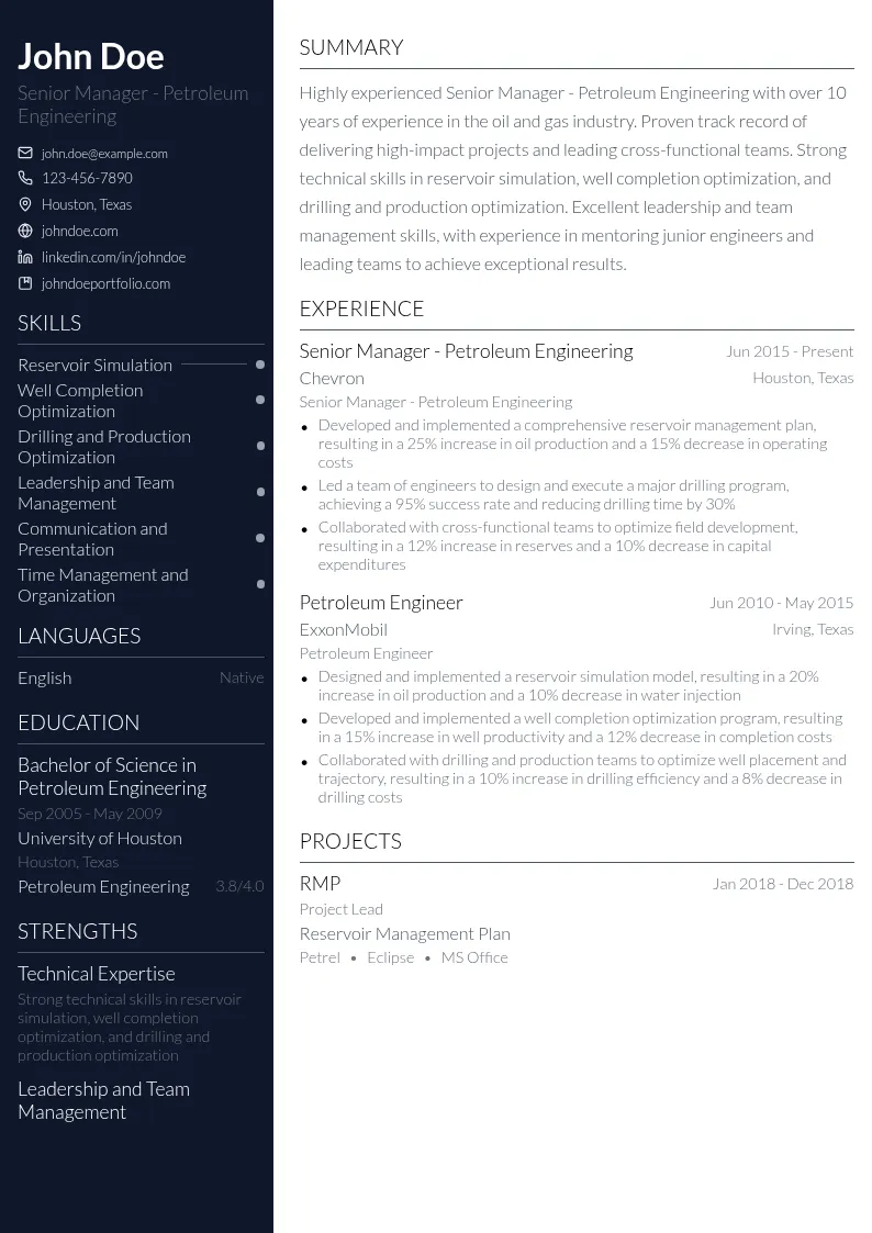 Senior Manager - Petroleum Engineering resume example