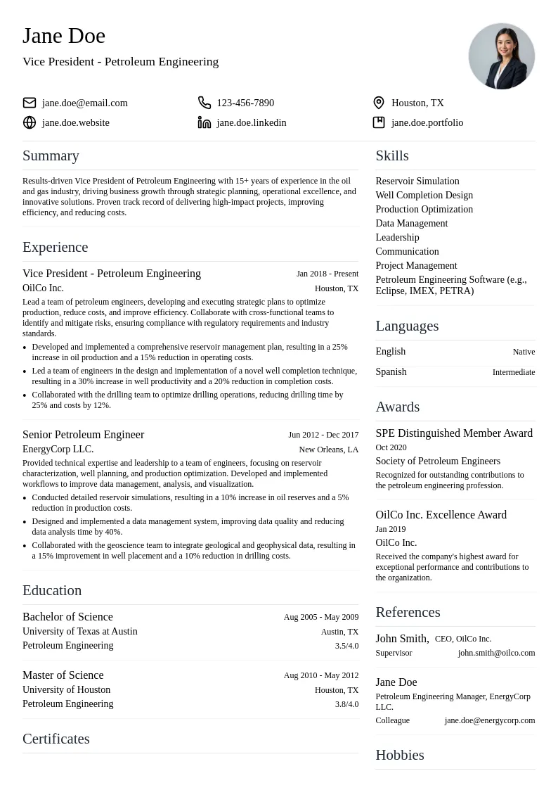 Vice President - Petroleum Engineering resume example