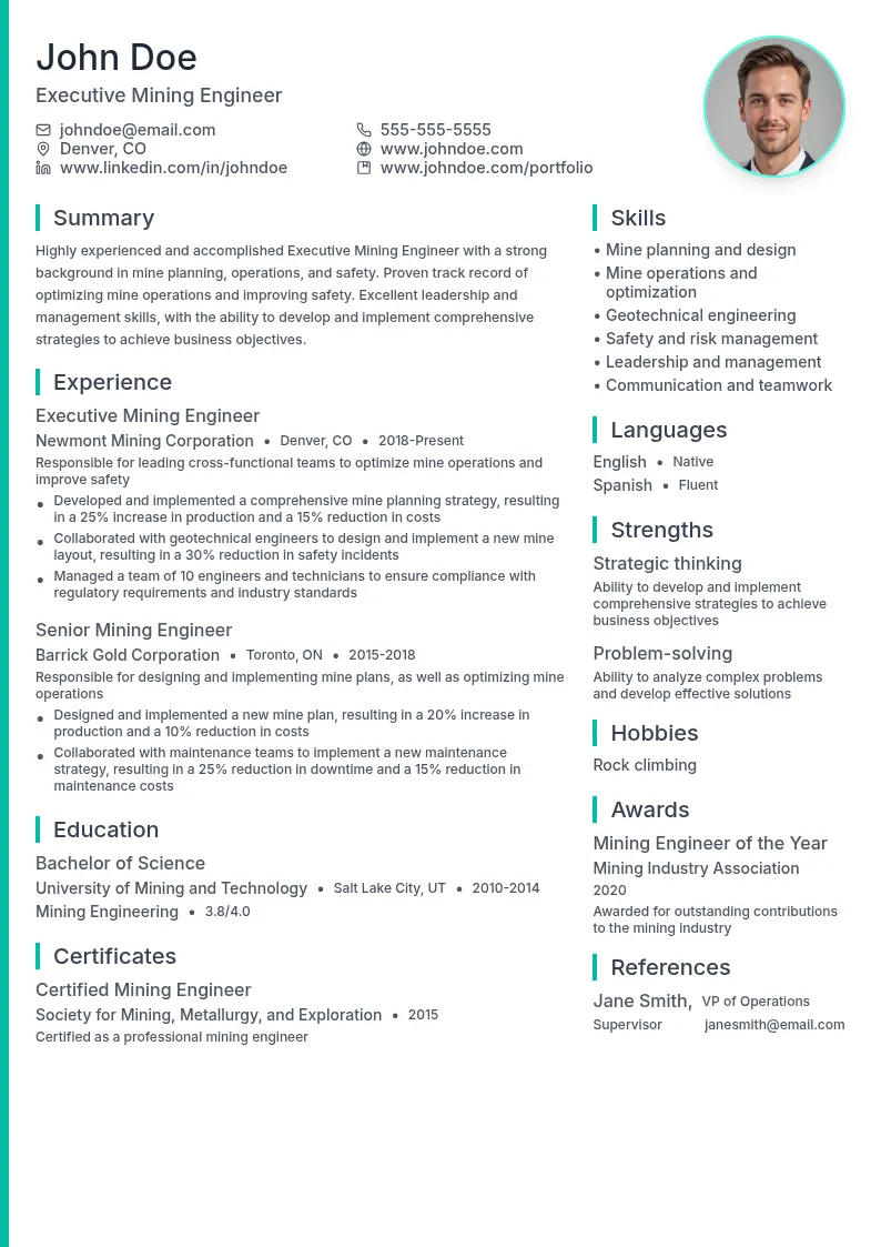 Executive Mining Engineer resume example