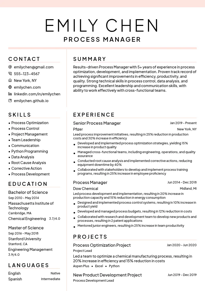 Process Manager resume example