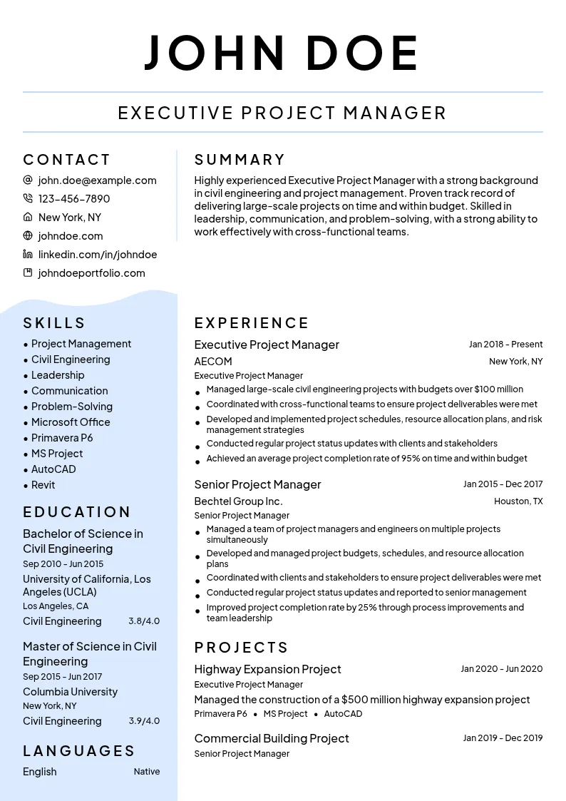 Executive Project Manager resume example