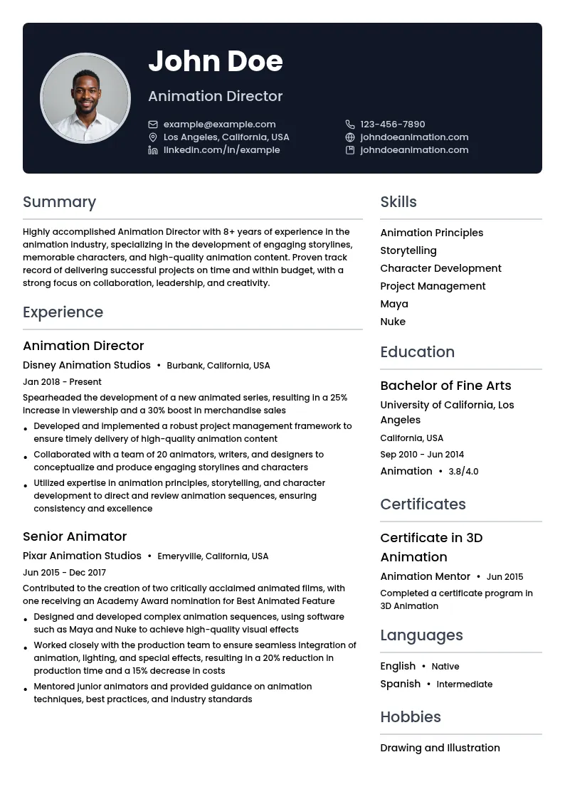 Animation Director resume example