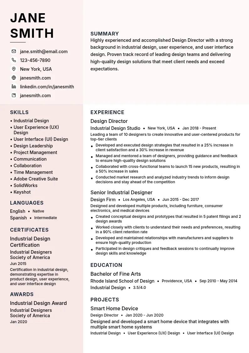 Design Director resume example