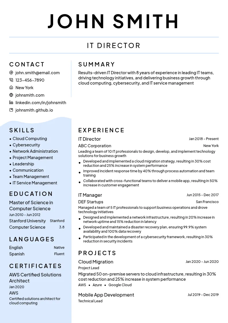 IT Director resume example