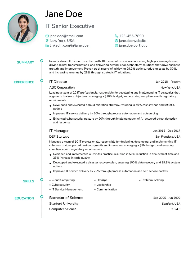 IT Senior Executive resume example