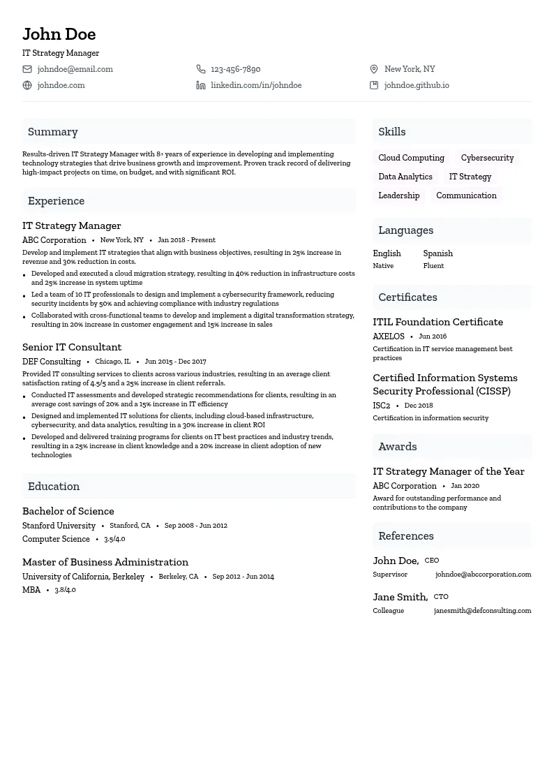 IT Strategy Manager resume example