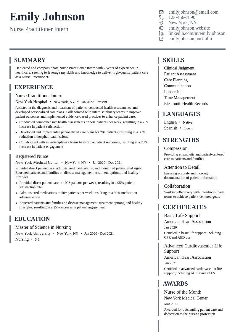 Nurse Practitioner Intern resume example