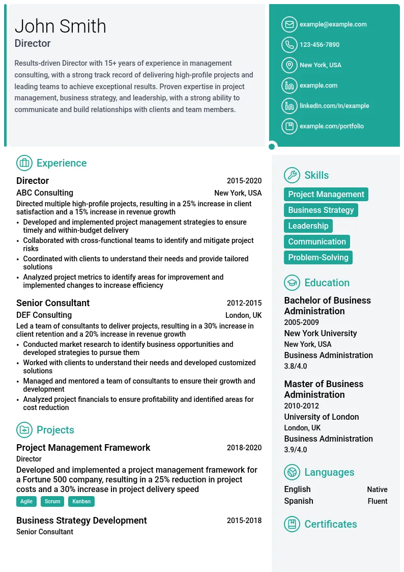 Director (15-20 years) resume example