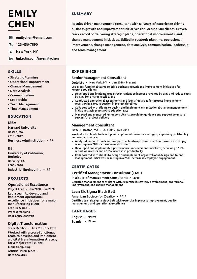 Management Consultant resume example