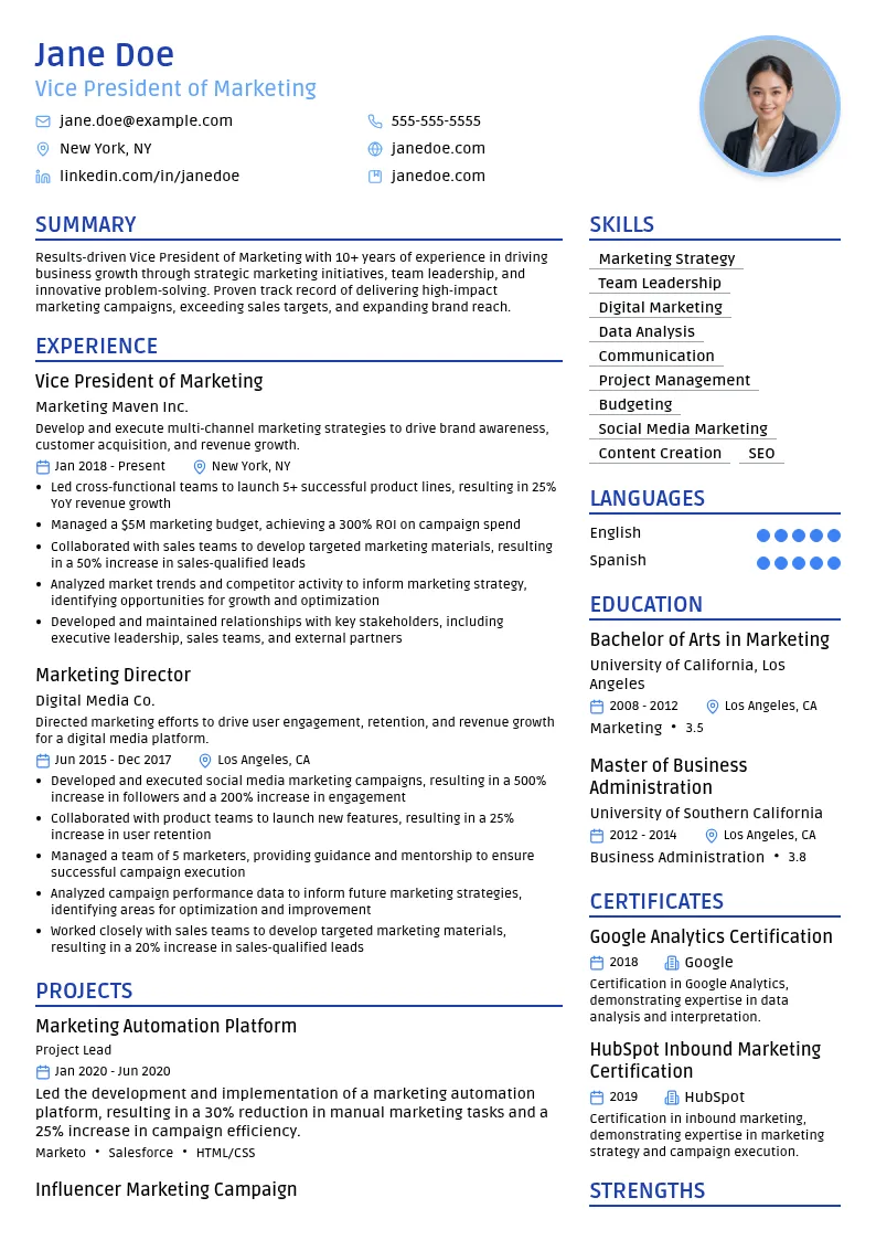 Vice President of Marketing resume example