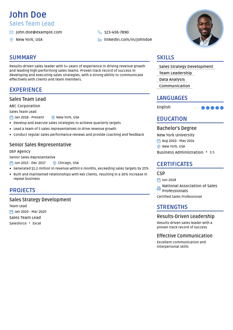 Sales Team Lead resume example