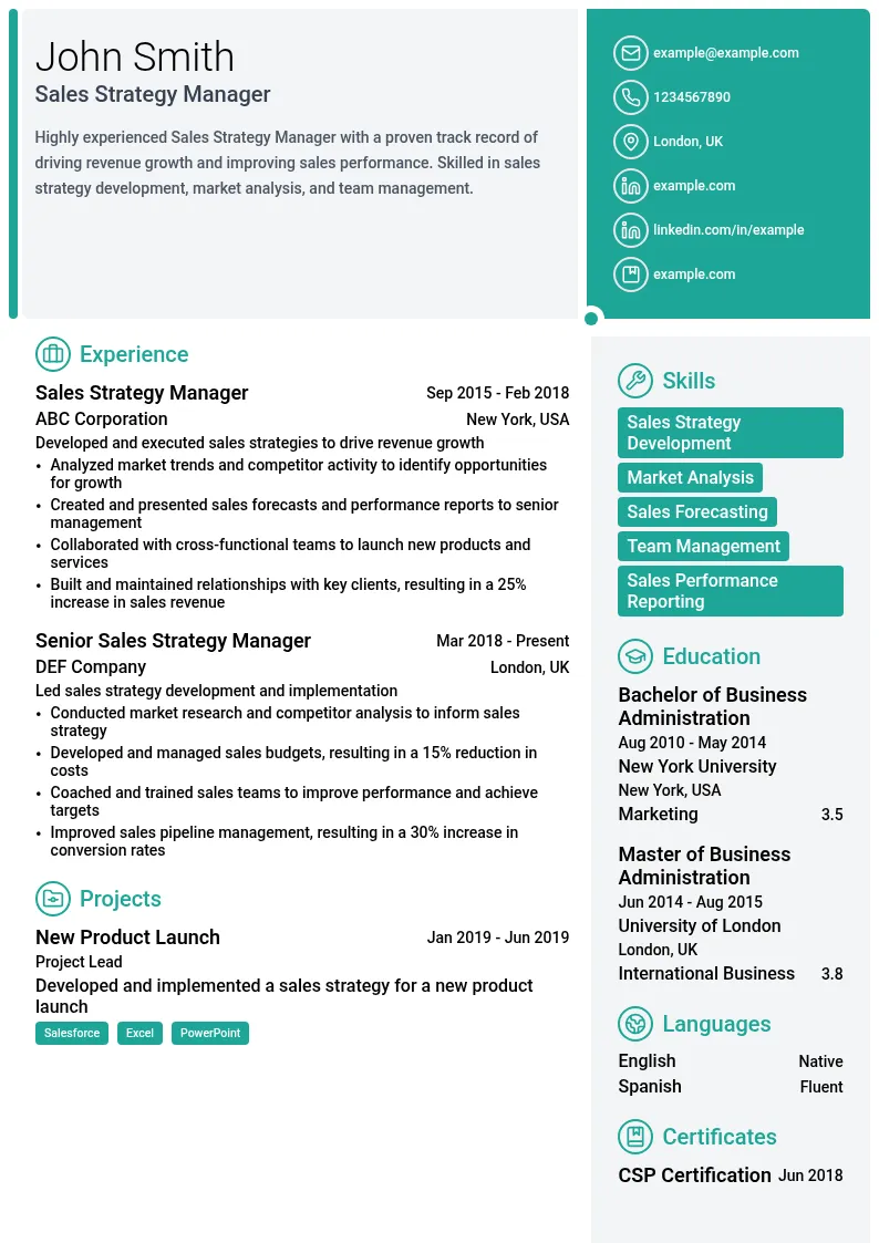 Sales Strategy Manager resume example