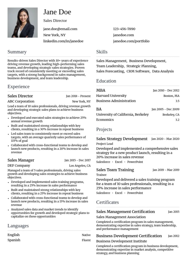 Sales Director resume example