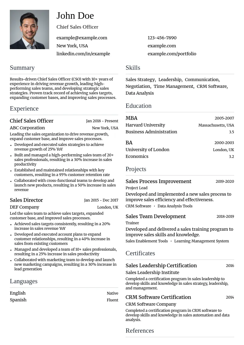 Chief Sales Officer (CSO) resume example