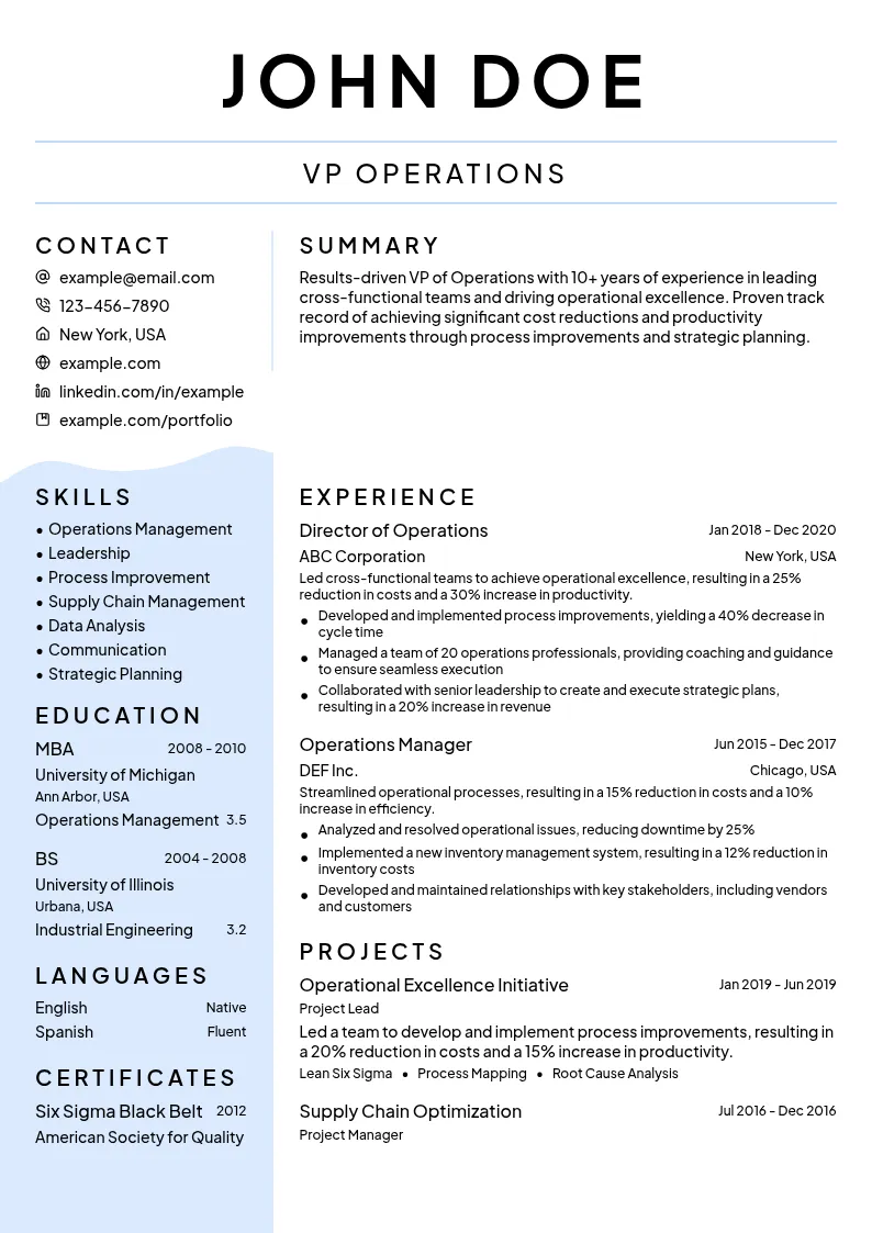 VP Operations resume example