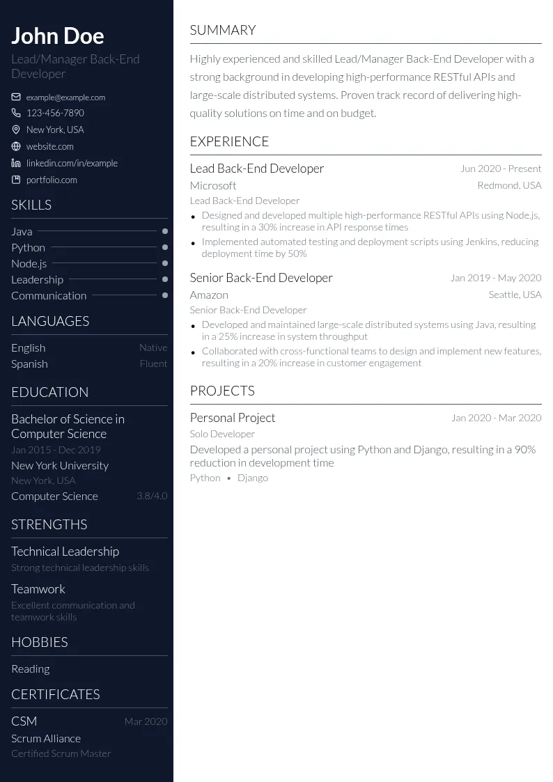Lead/Manager Back-End Developer resume example