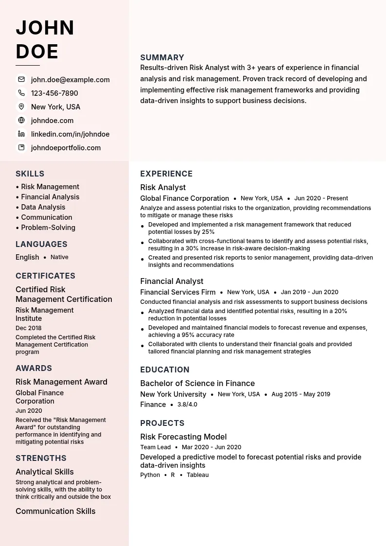 Risk Analyst resume example
