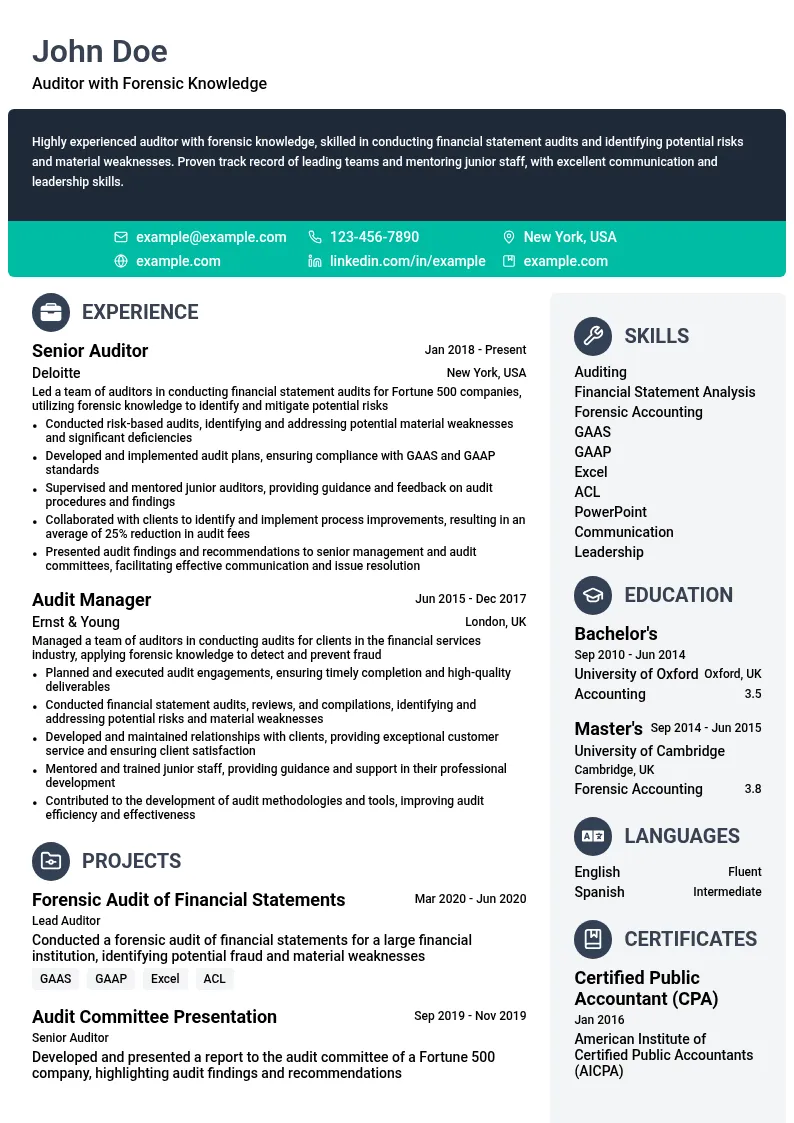 Auditor with Forensic Knowledge resume example