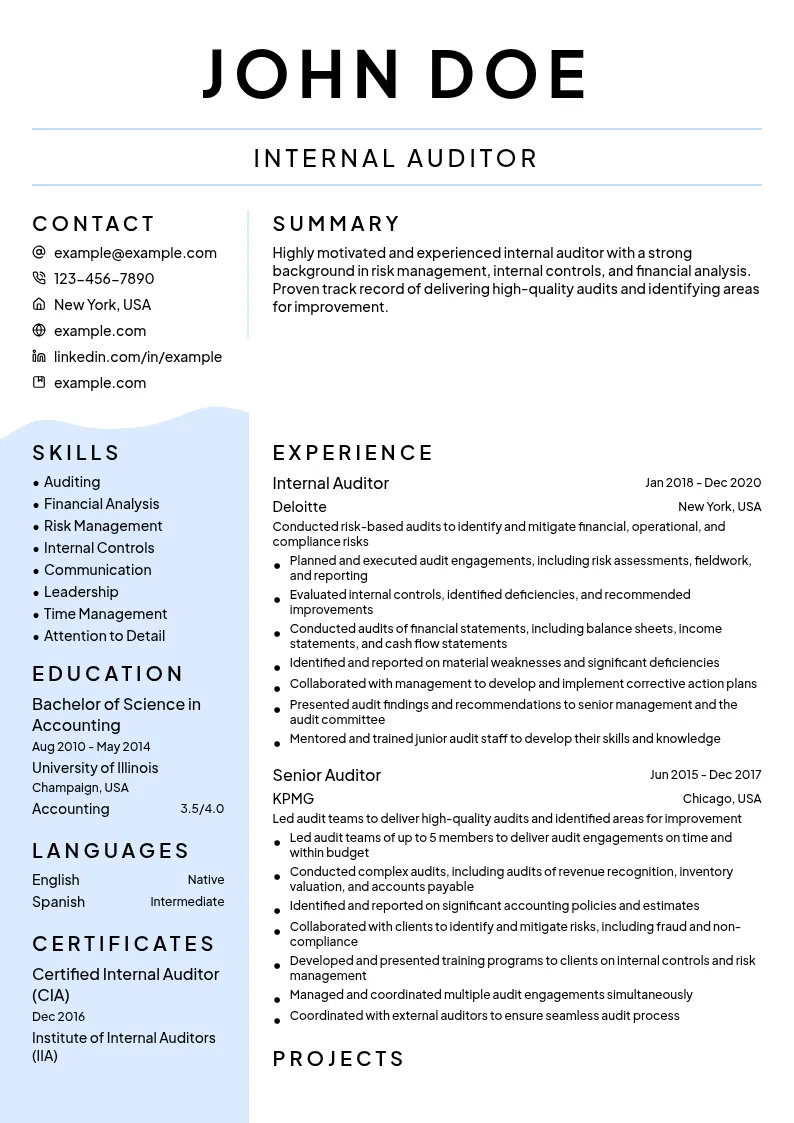 Internal Auditor resume example