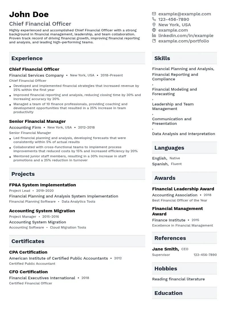 Chief Financial Officer resume example