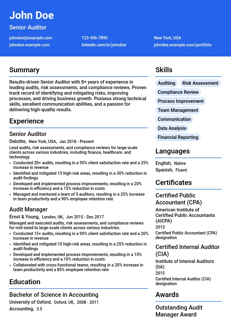 Senior Auditor resume example